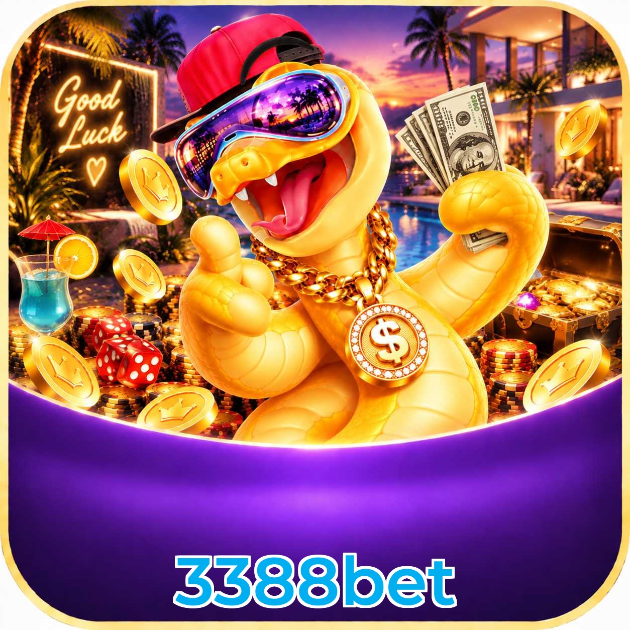 3388bet App vs Web