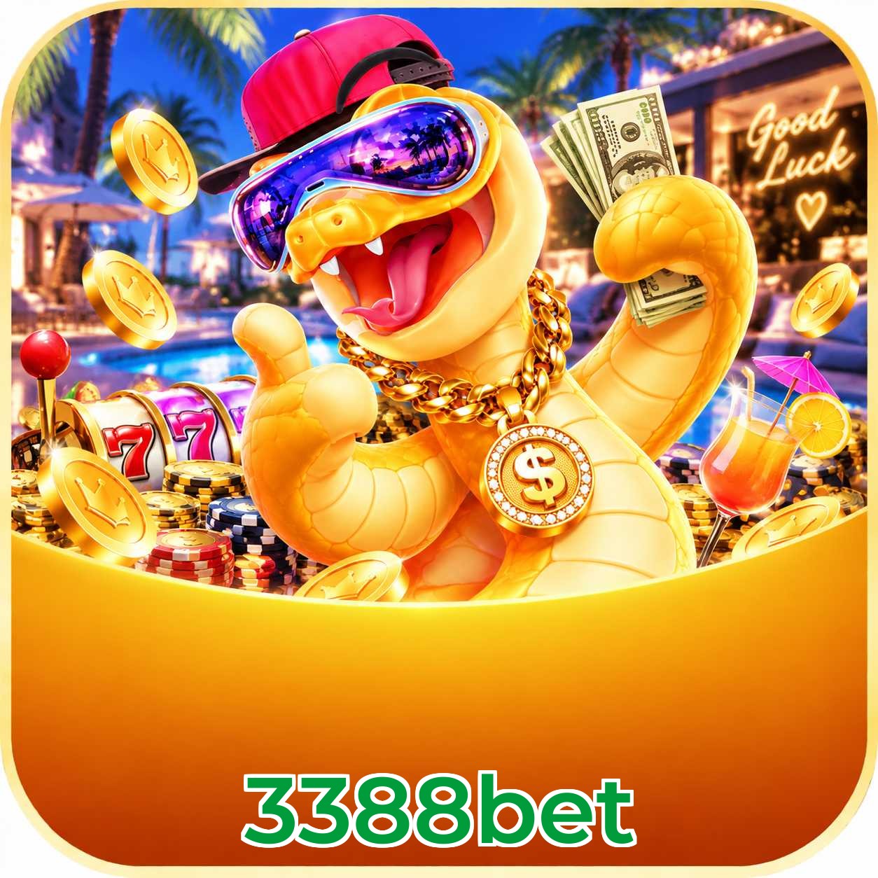 3388bet Sports Coverage